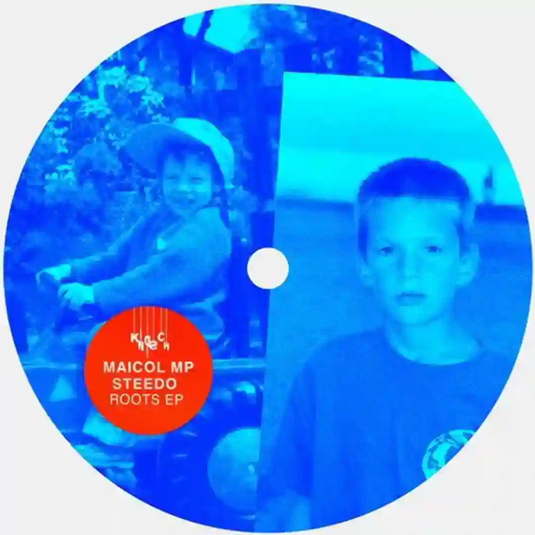 Roots (Maicol MP Ambient Edit) cover