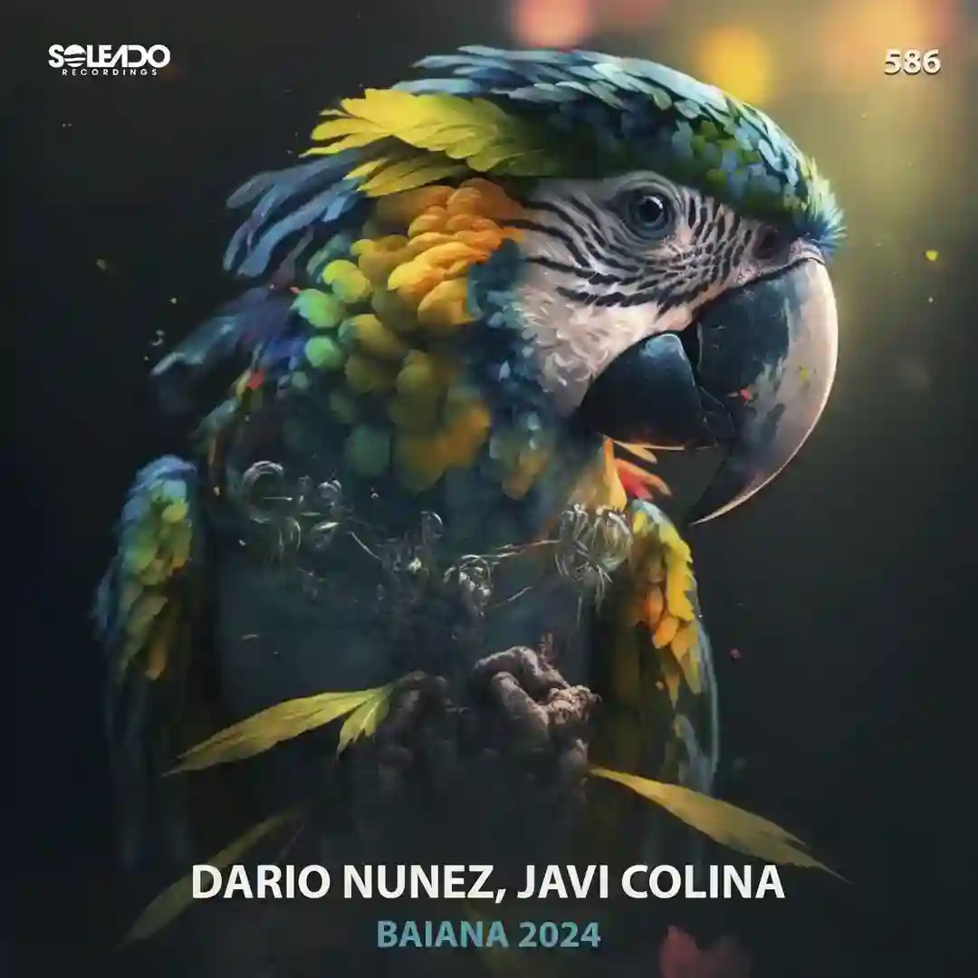 BAIANA 2024 (Original mix) cover