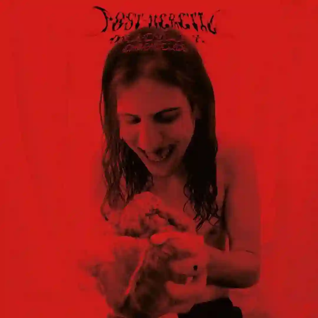 The Witches You Weren't Able To Burn cover