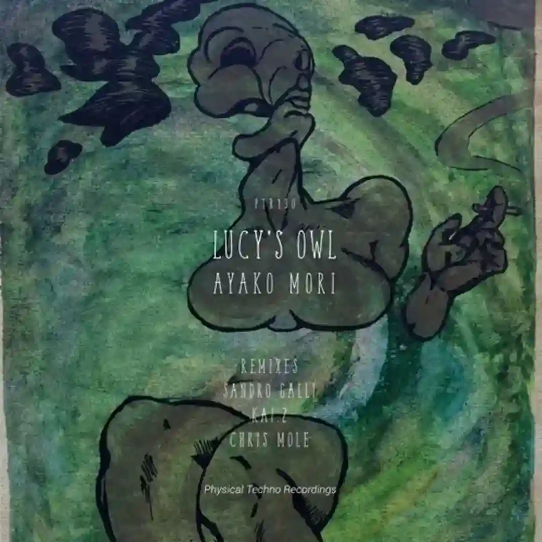 Lucy's Owl cover