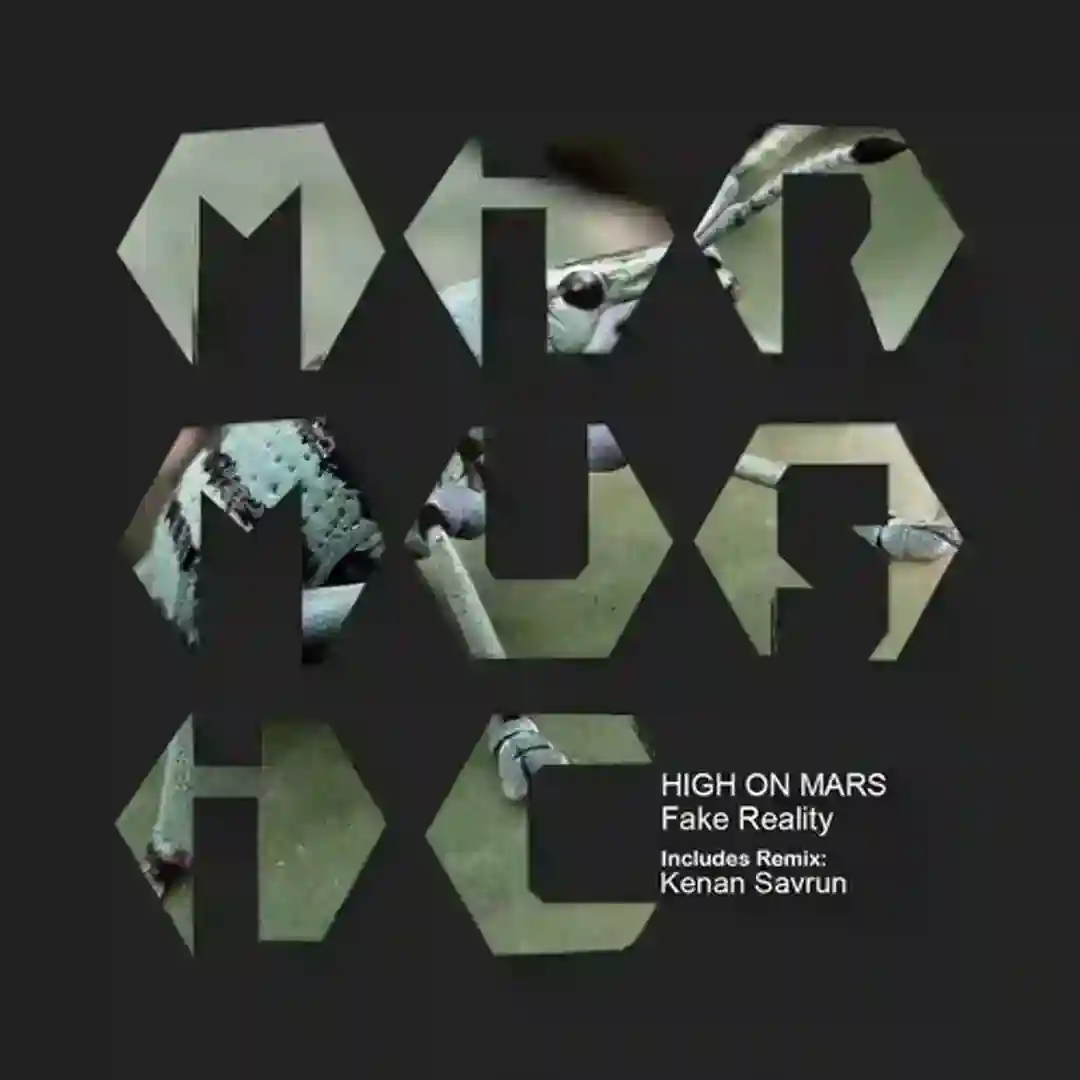 Fake Reality (Kenan Savrun Remix) cover