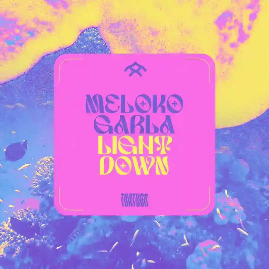 Light Down (Original Mix) cover