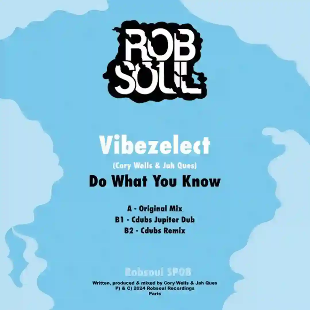 Do What You Know (Main Mix) cover