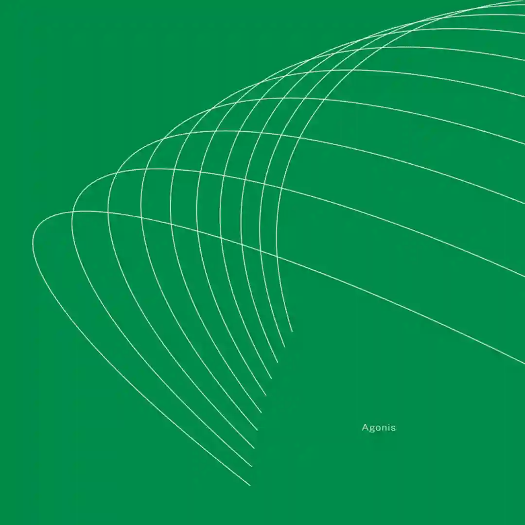 Snow Field Fractals (Original Mix) cover