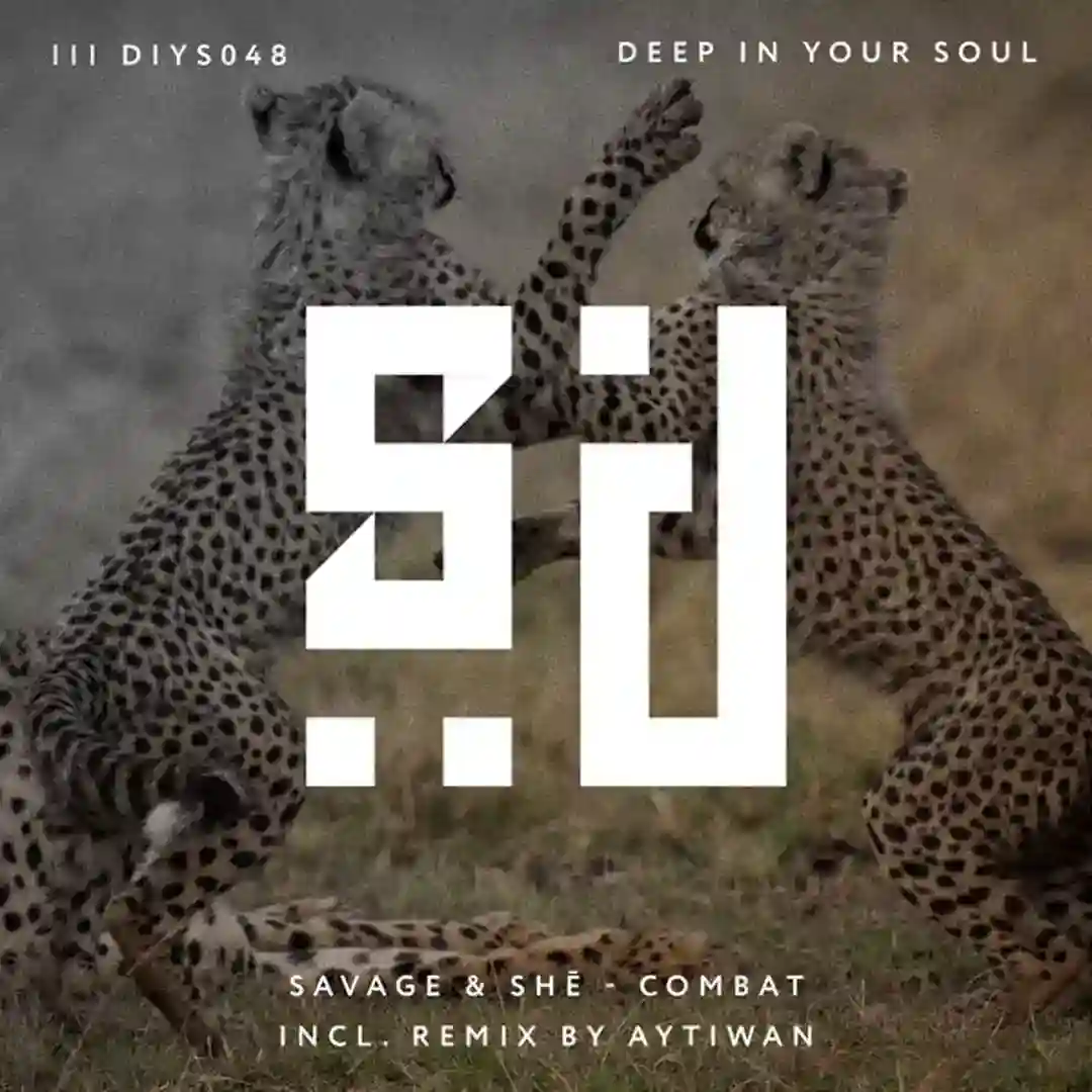 Combat (Aytiwan Remix) cover