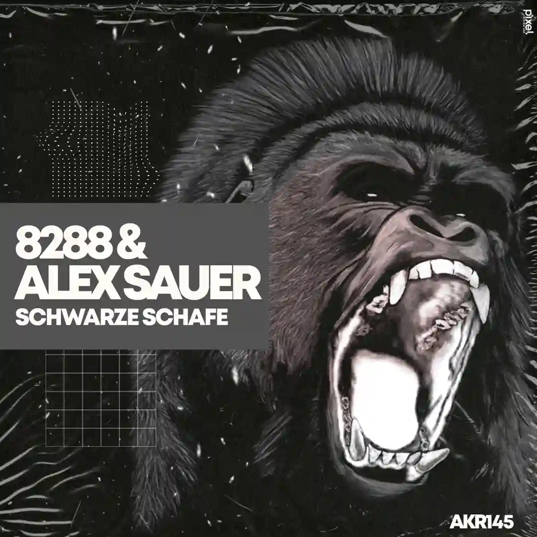 Schwarze Schafe (Original Mix) cover