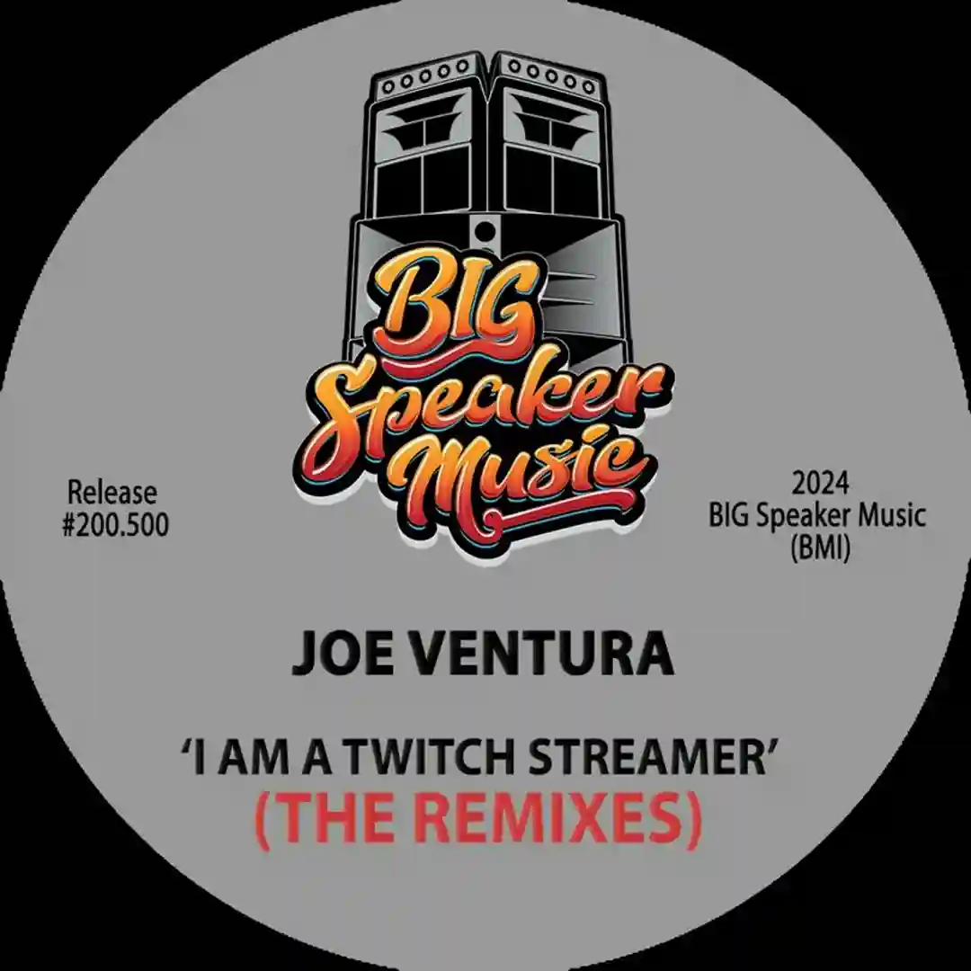 I Am A Twitch Streamer (Steve Disco Newsome Remix) cover