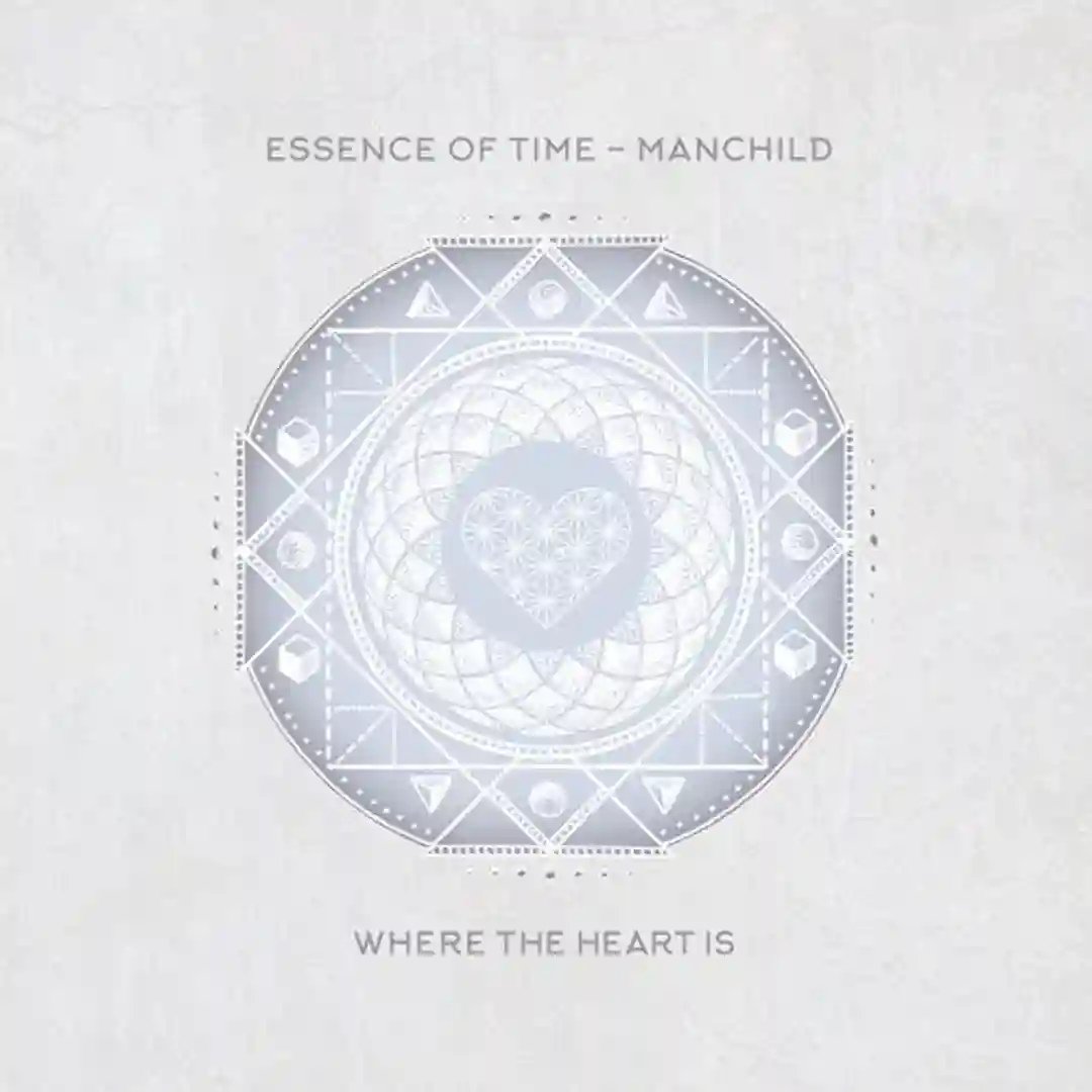 Manchild (The Other Wild Mix) cover