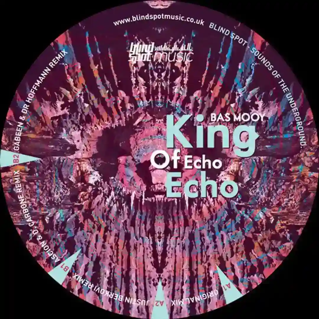 King Of Echo Echo cover