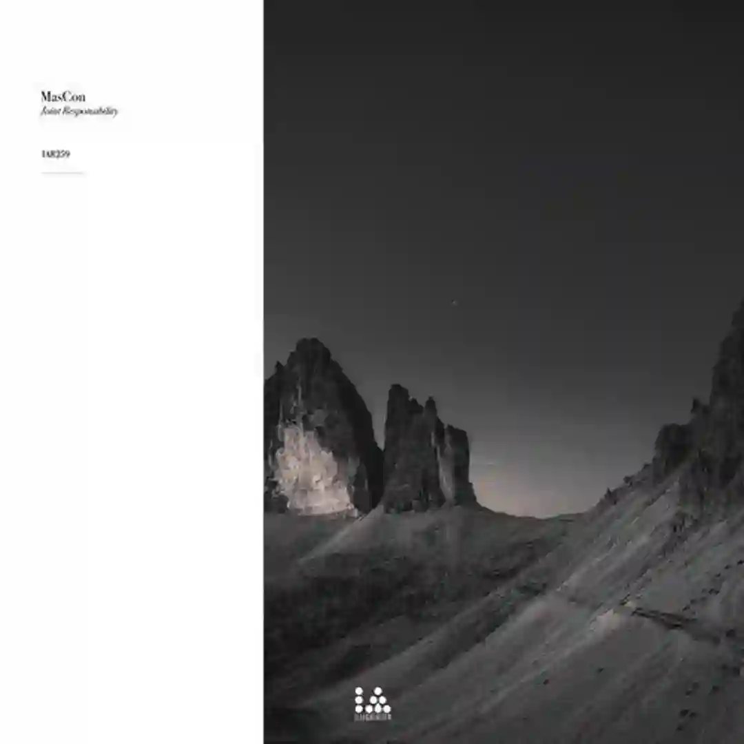 Leidwesen (Original Mix) cover