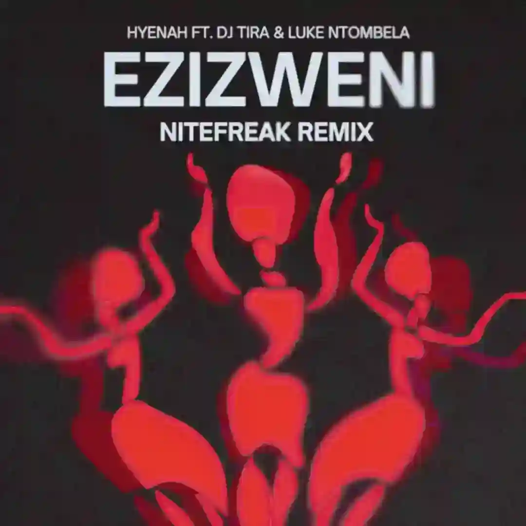 Ezizweni cover