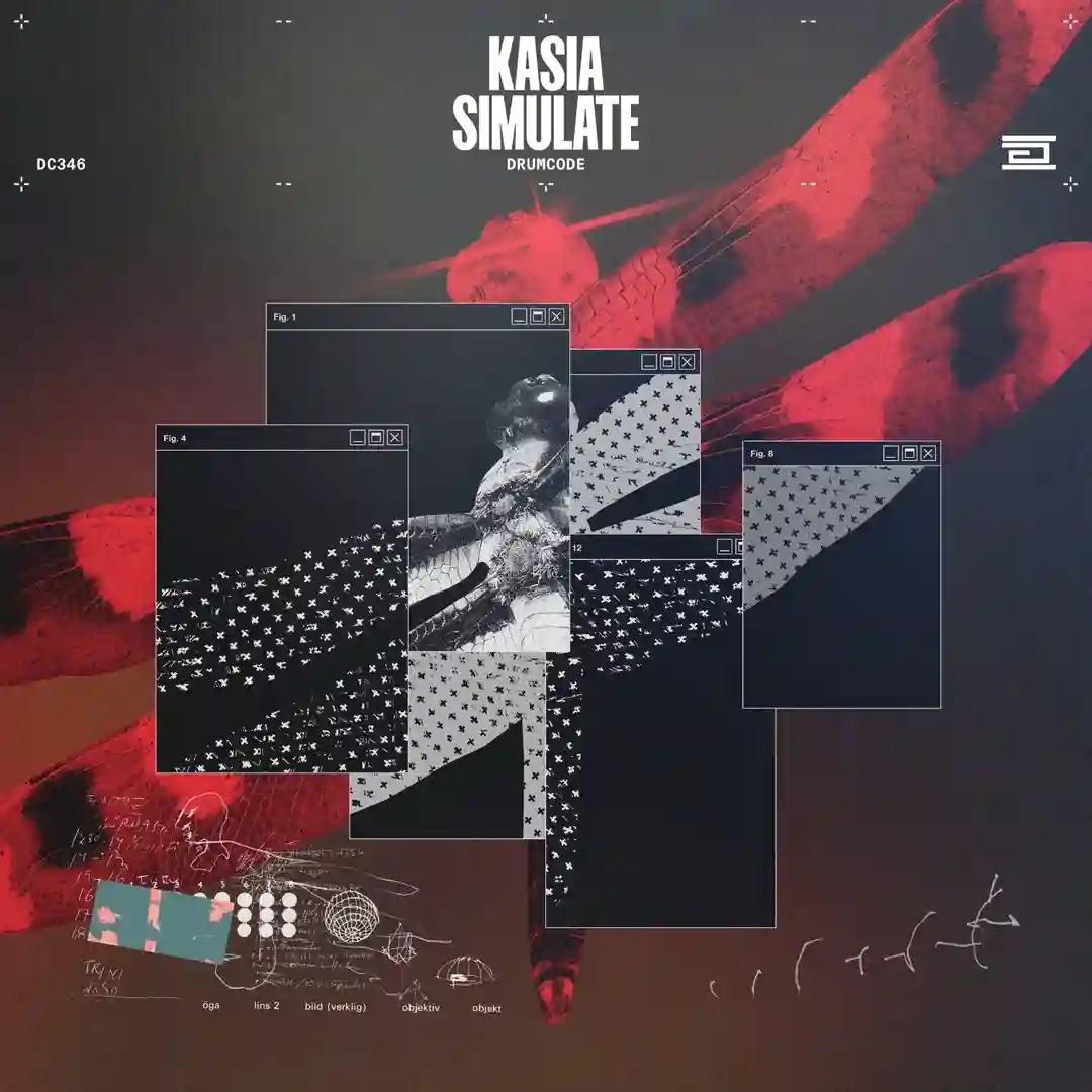 Simulate (Original Mix) cover