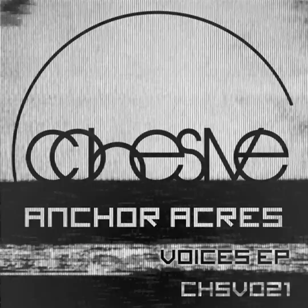 Voices (Original Mix) cover