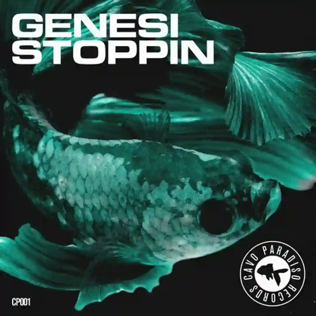 Stoppin (Extended Instrumental Mix) cover