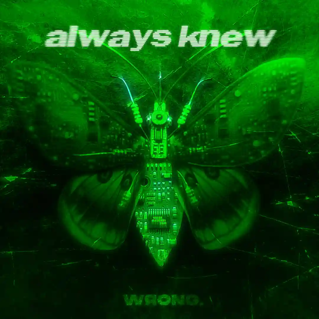 always knew (Extended Mix) cover