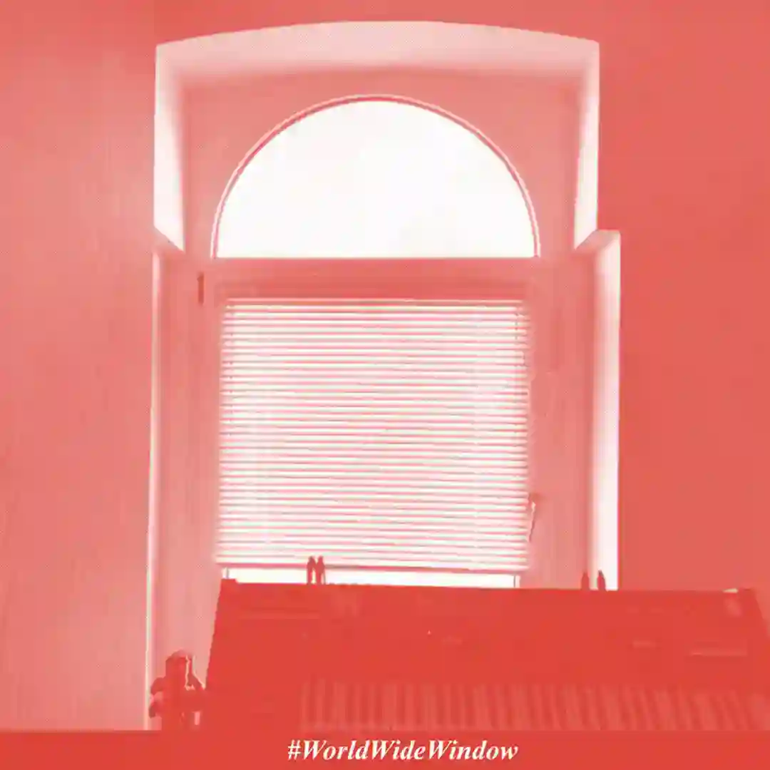 Missin cover