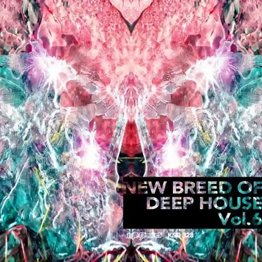 Hear The Sound (Kruse & Nuernberg's Grumpy Cat Main Remix) cover