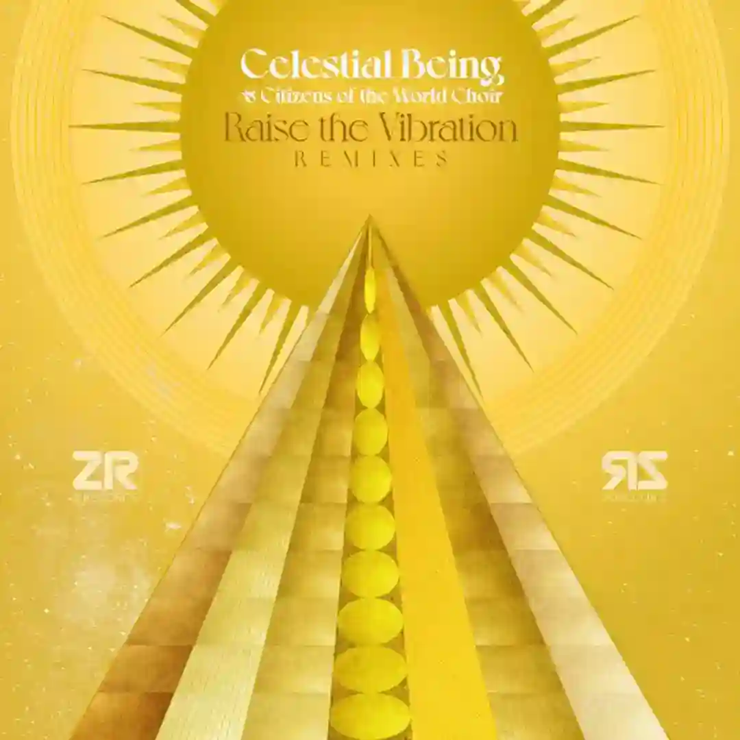 Raise The Vibration (Remixes) cover