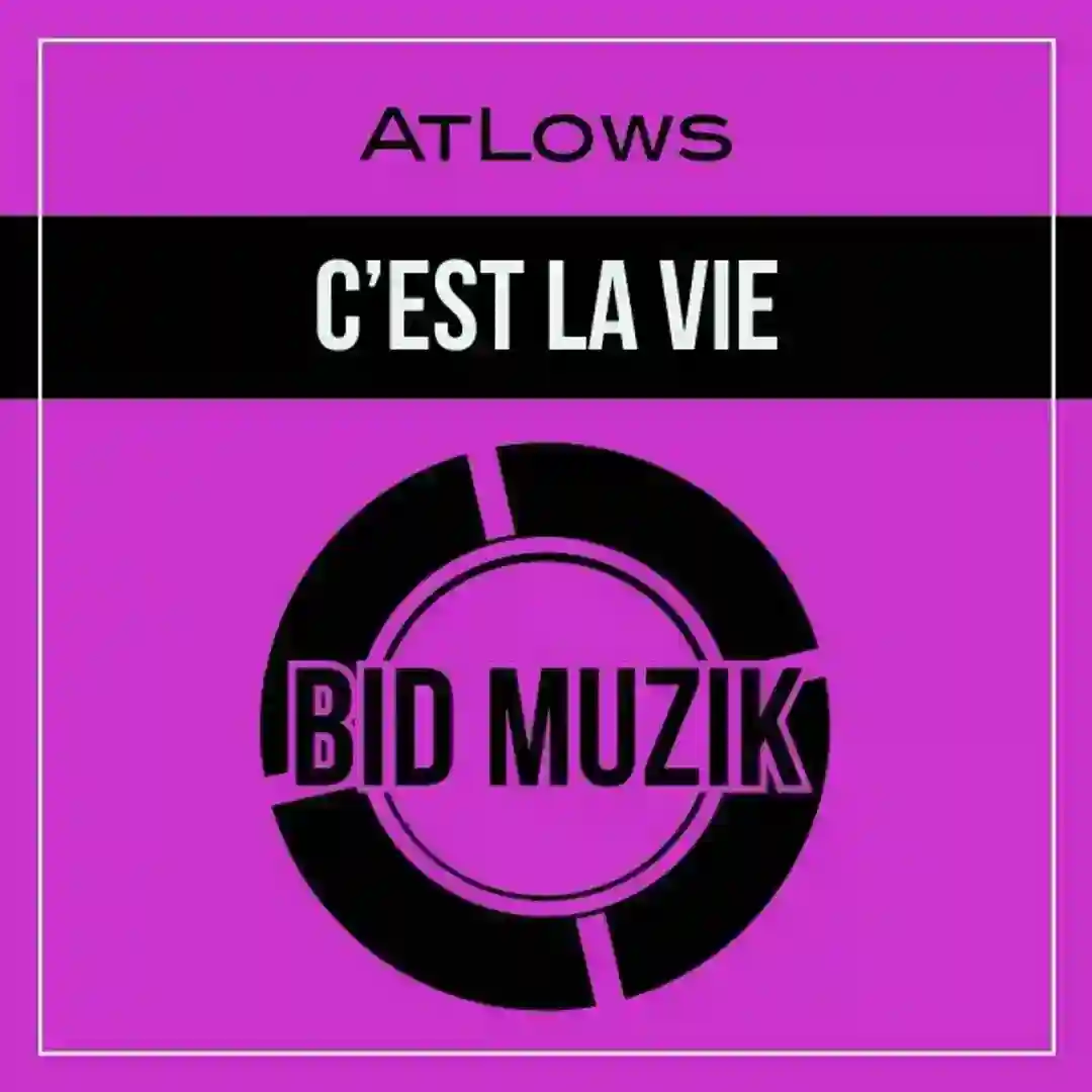 C'est La Vie cover