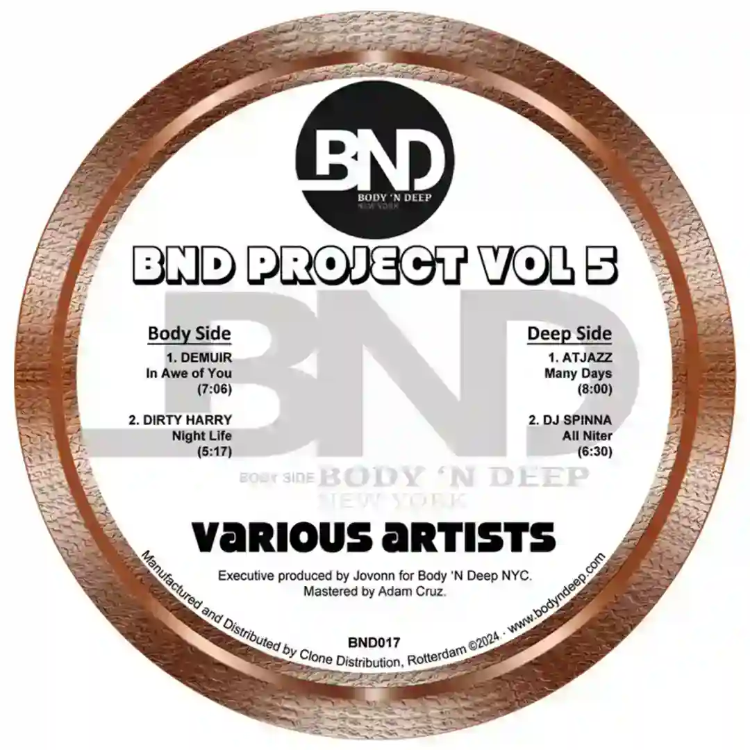 BND Project Vol 5 cover
