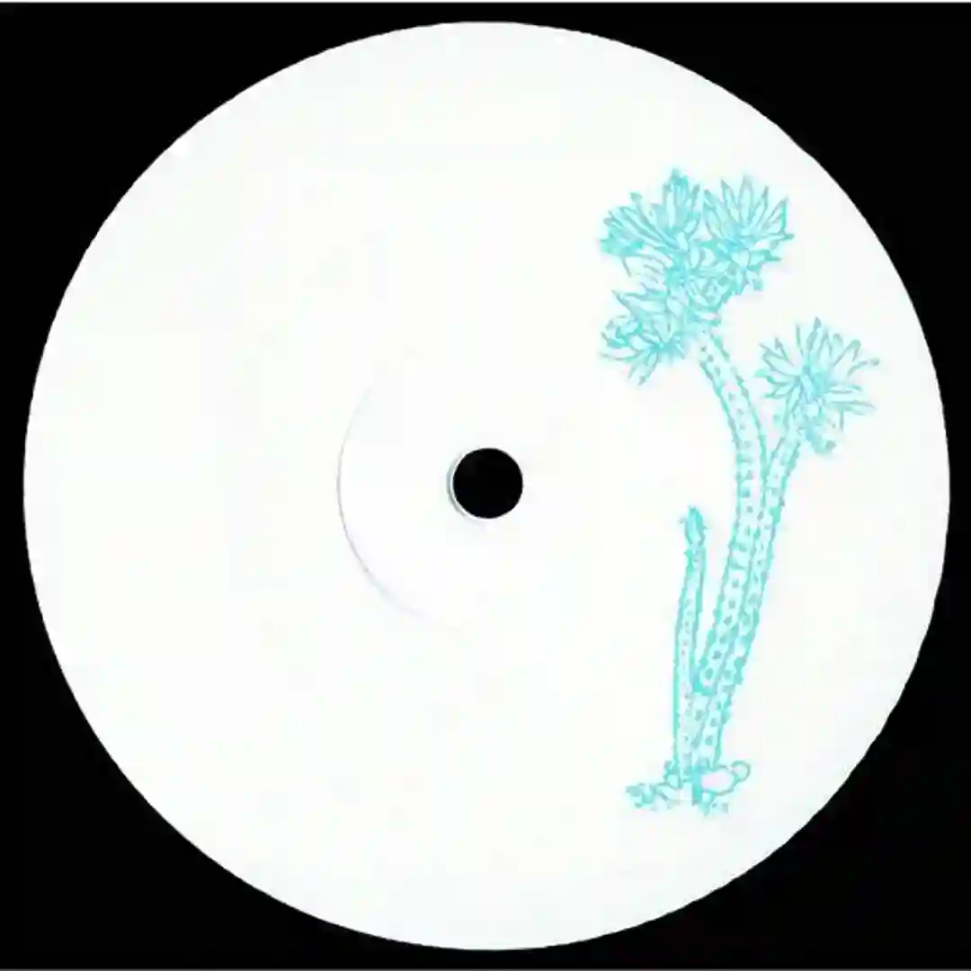 Wilcoxia poselgeri cover