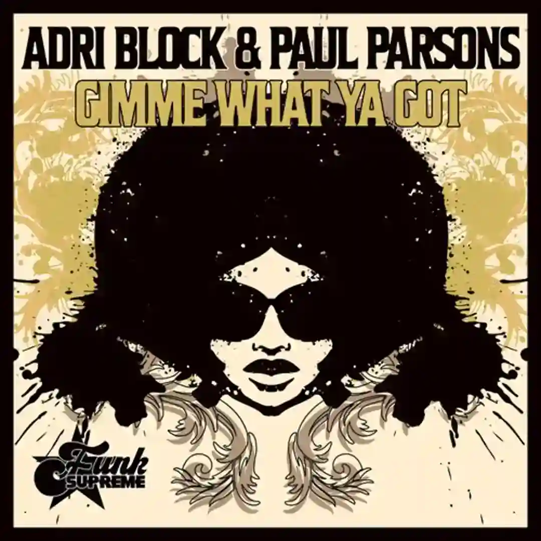 Gimme What Ya Got cover