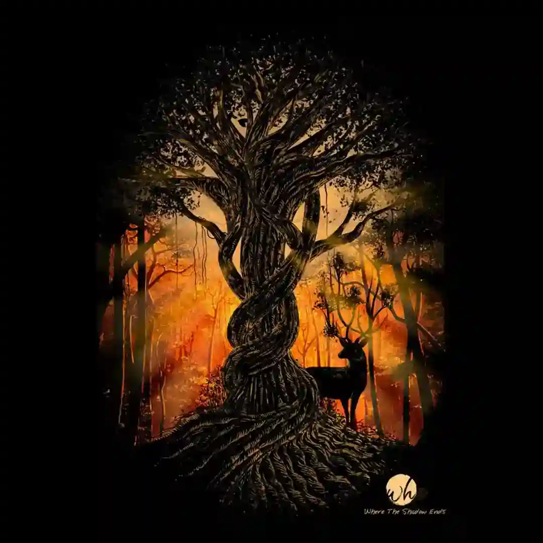Fulgor Solis (Minnado Remix) cover