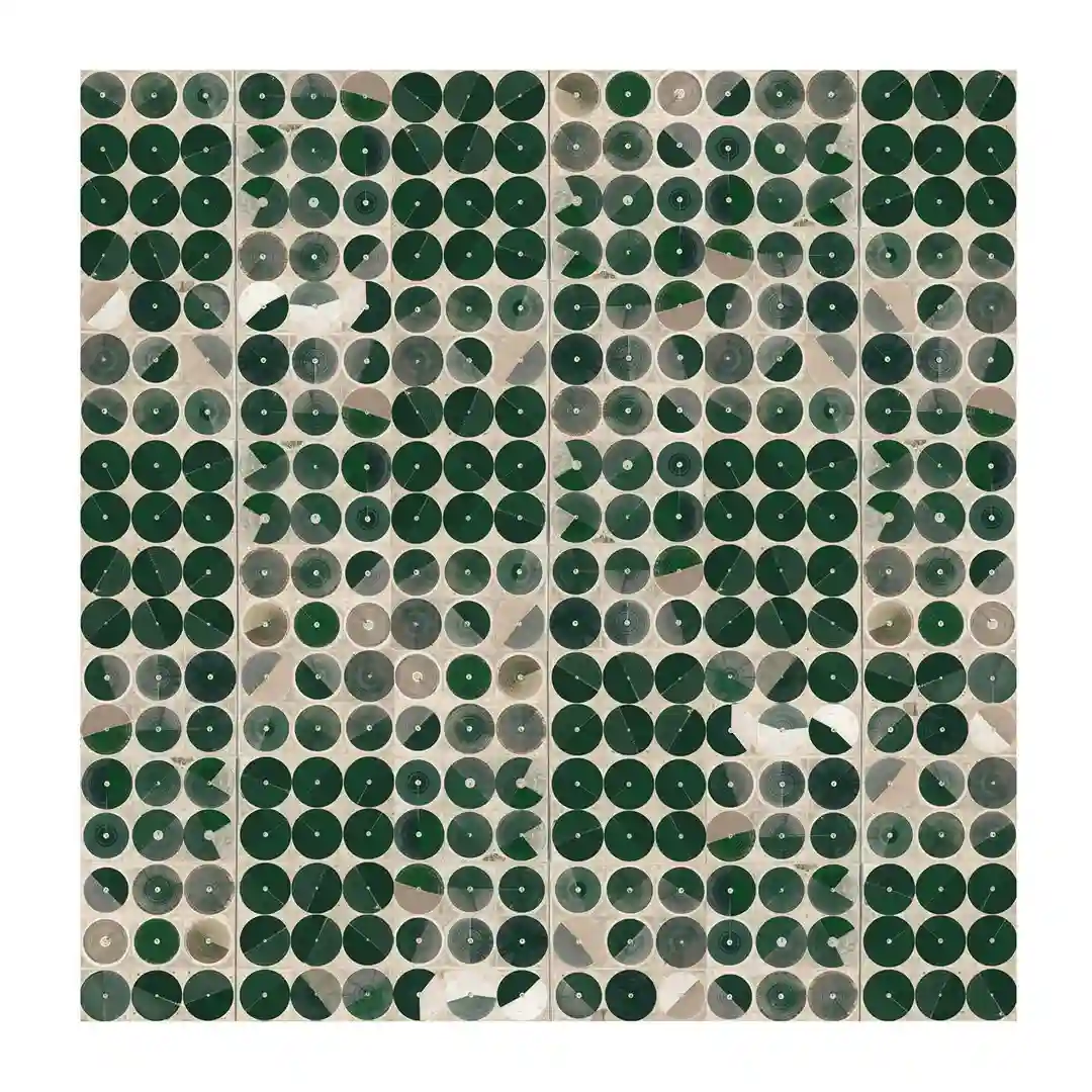 Errors of Conclusion cover