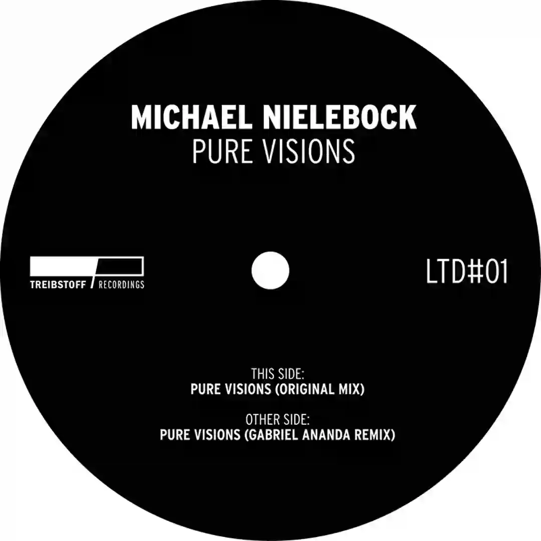 Pure Visions Incl Gabriel Ananda Remix TREIBSTOFFLTD01 cover