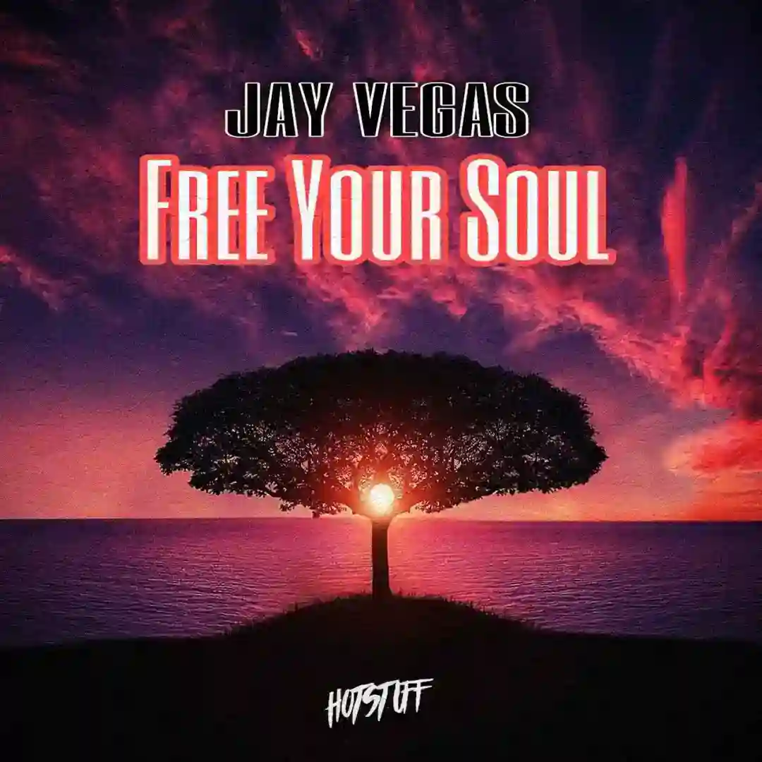 Free Your Soul (Original Mix) cover