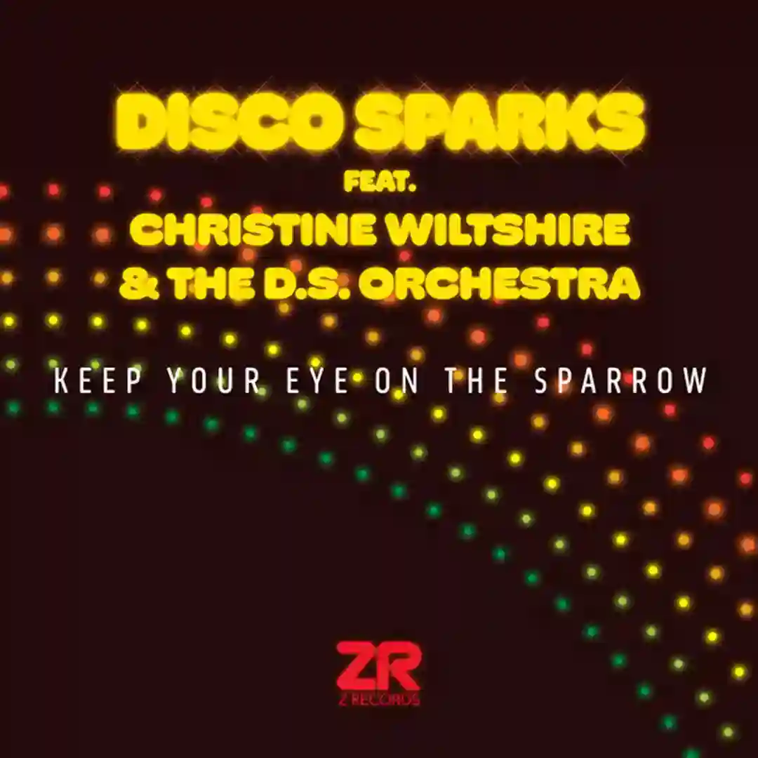 Keep Your Eye On The Sparrow (Extended Mix) cover