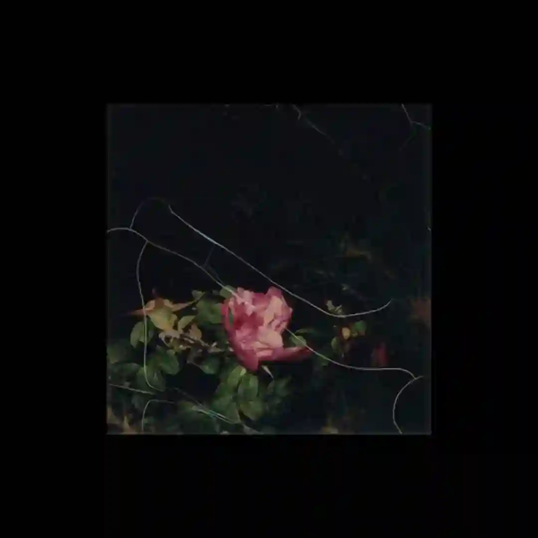 Lockjaw (Original Mix) cover