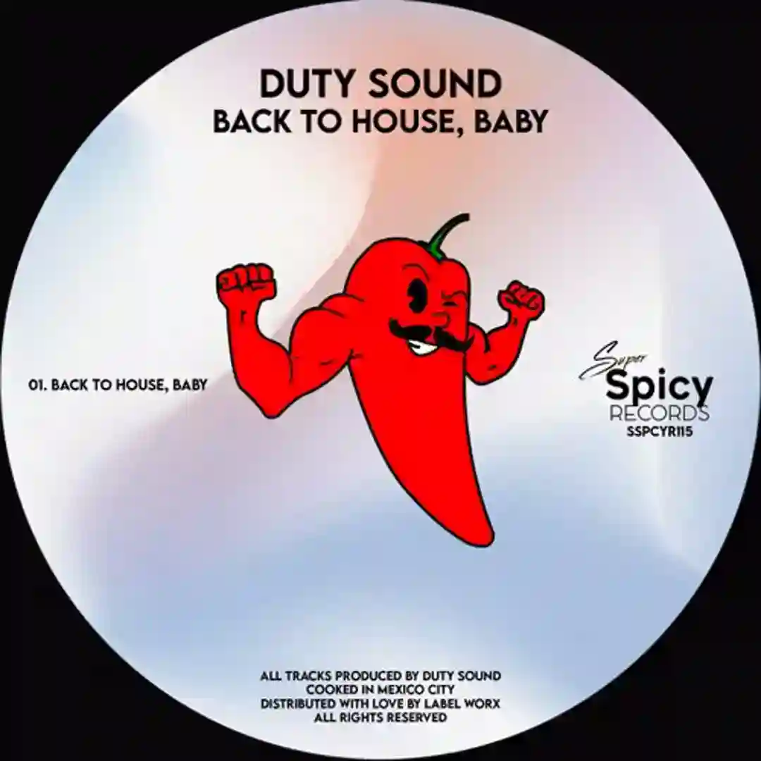 Back To House, Baby (Original Mix) cover