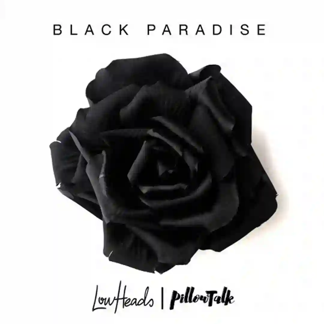 Black Paradise (Original Mix) cover