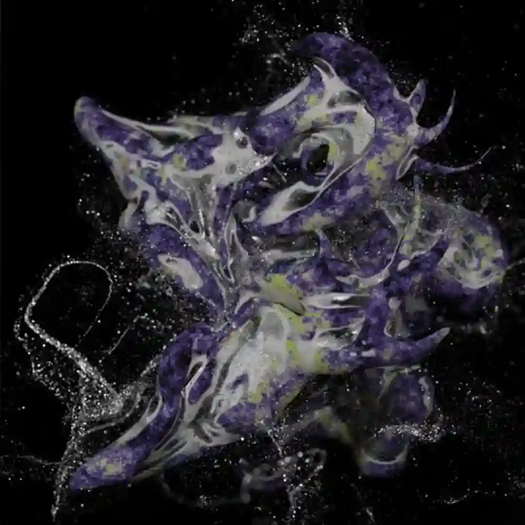 Rescue Of Arion cover