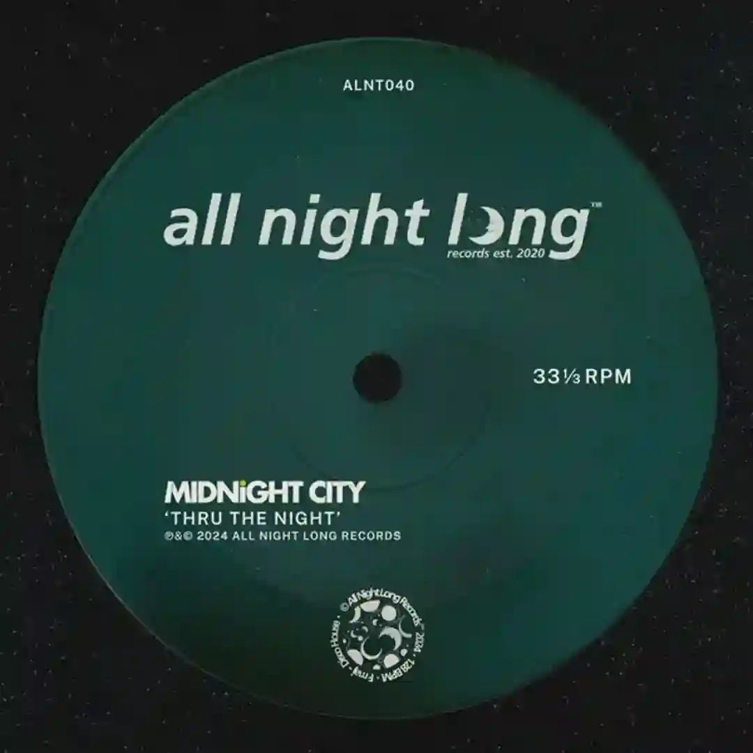 Thru The Night (Extended Mix) cover