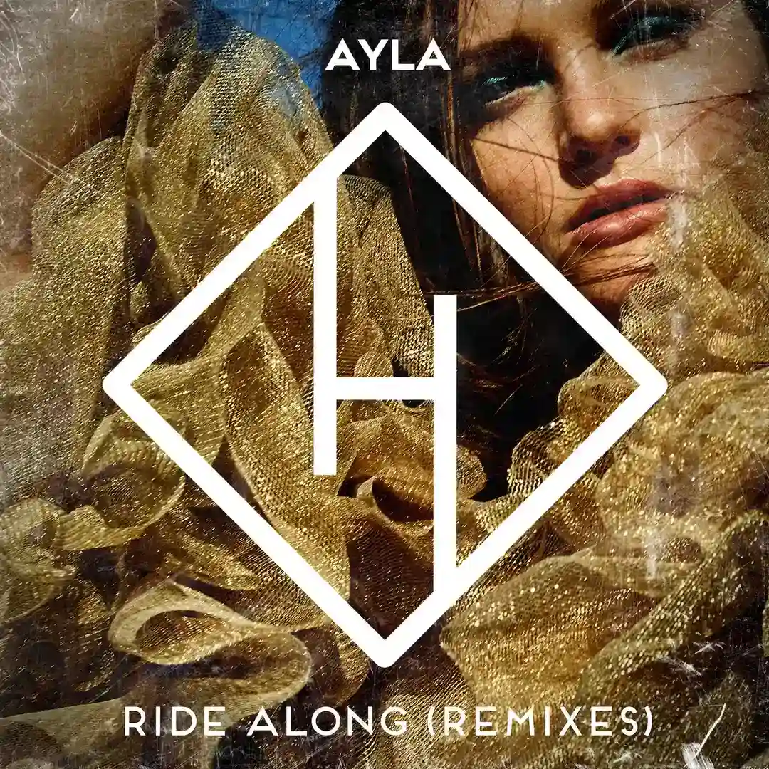 Ride Along (Funky Judge Remix) cover