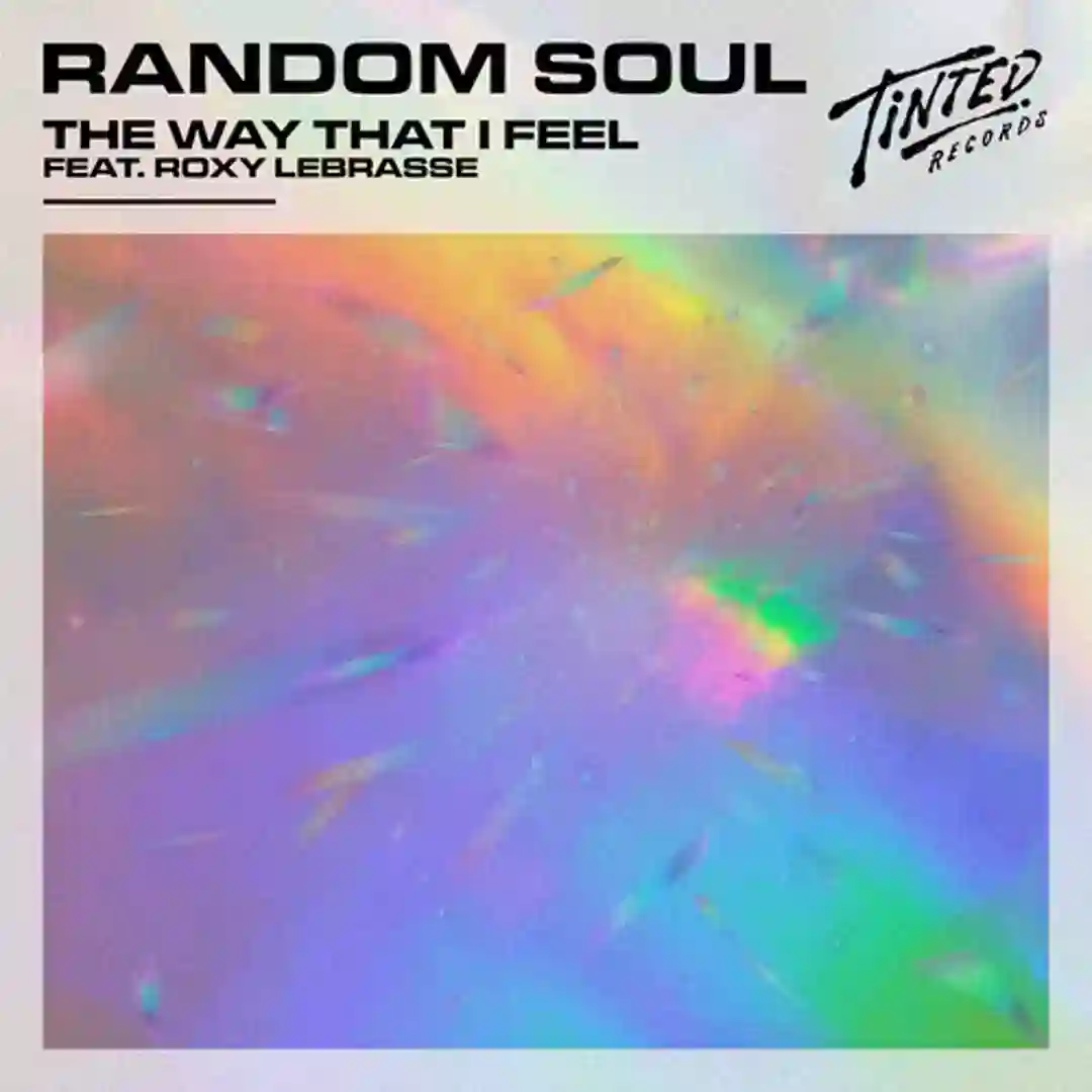 The Way That I Feel (feat. Roxy Labrasse) [Extended Mix] cover