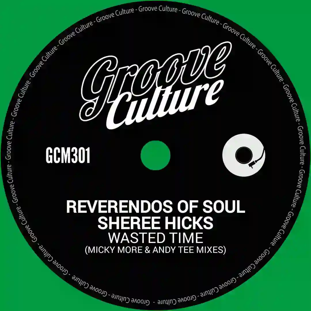 Wasted Time (Micky More & Andy Tee Instrumental Mix) cover
