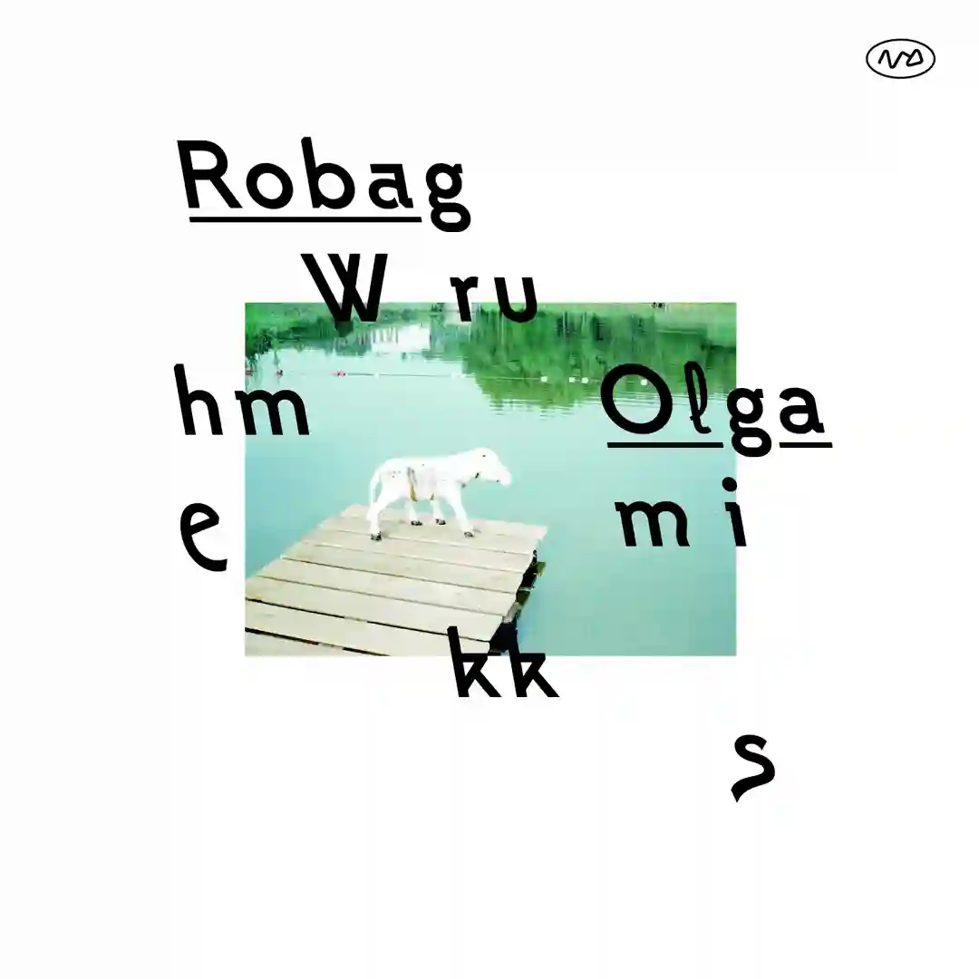 The Alchemist (Robag's Kopakkmuuf Rekksmow) cover