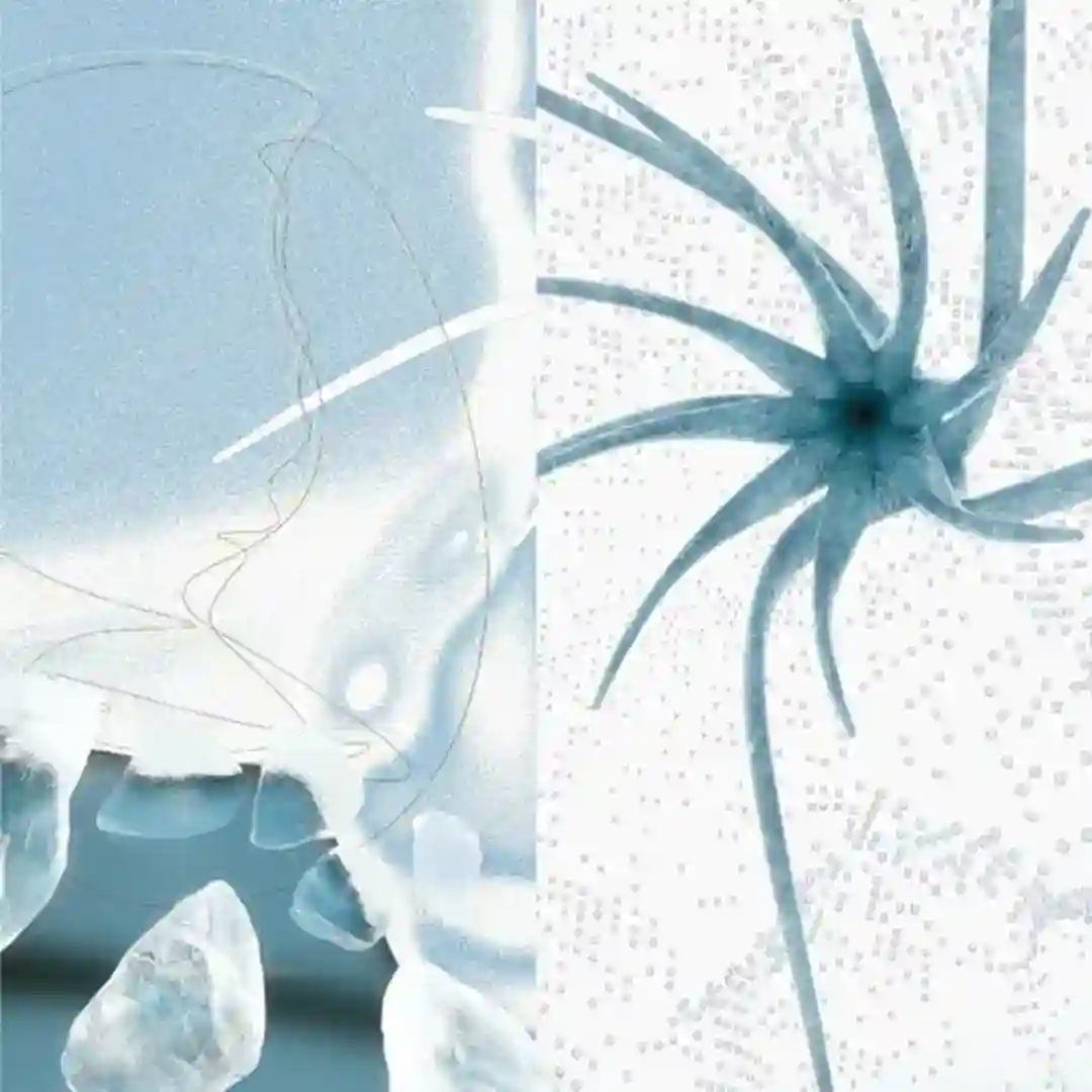 ICE Acoustik cover