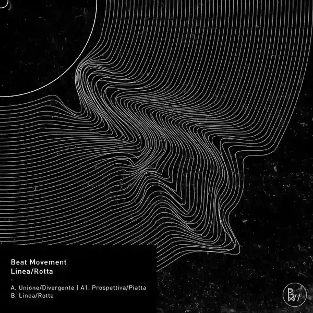 Prospettiva piatta cover