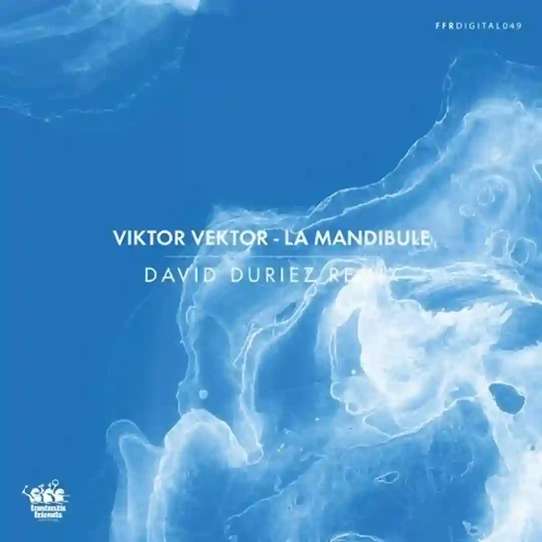 La Mandibule David Duriez Remix (Remix) cover