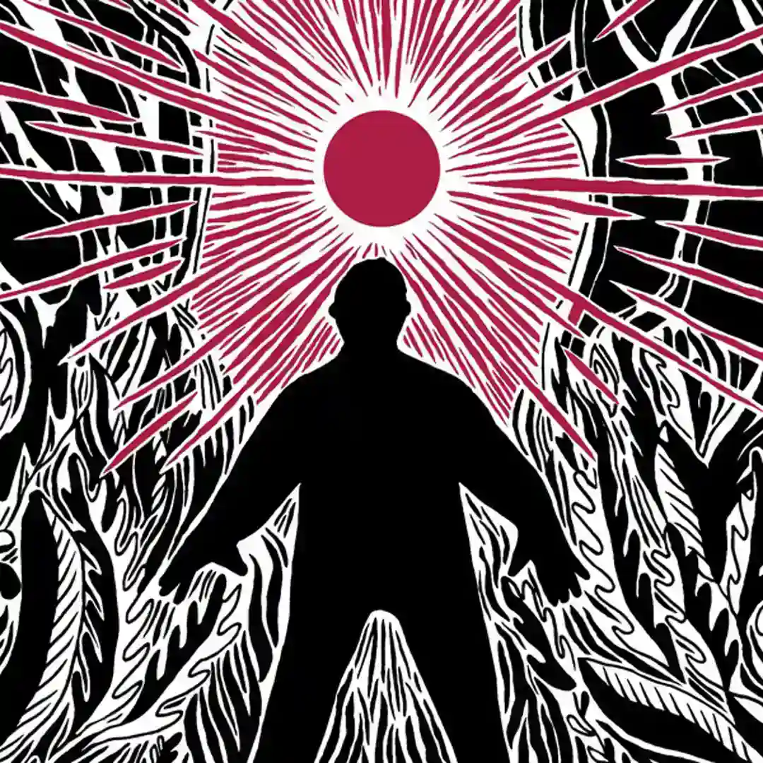 Les Volets cover