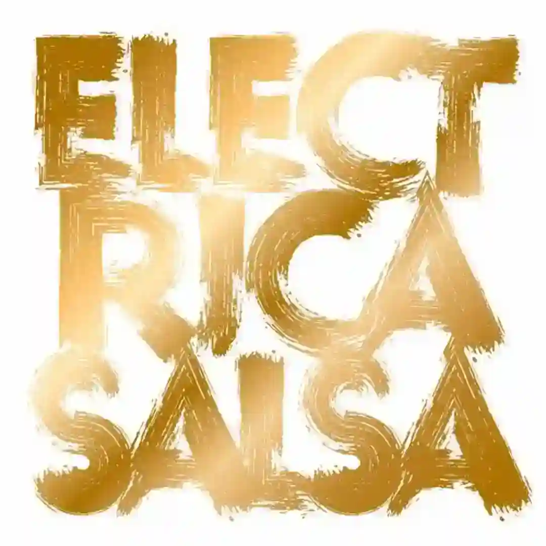 Electrica Salsa (Henrik Schwarz Remix) cover