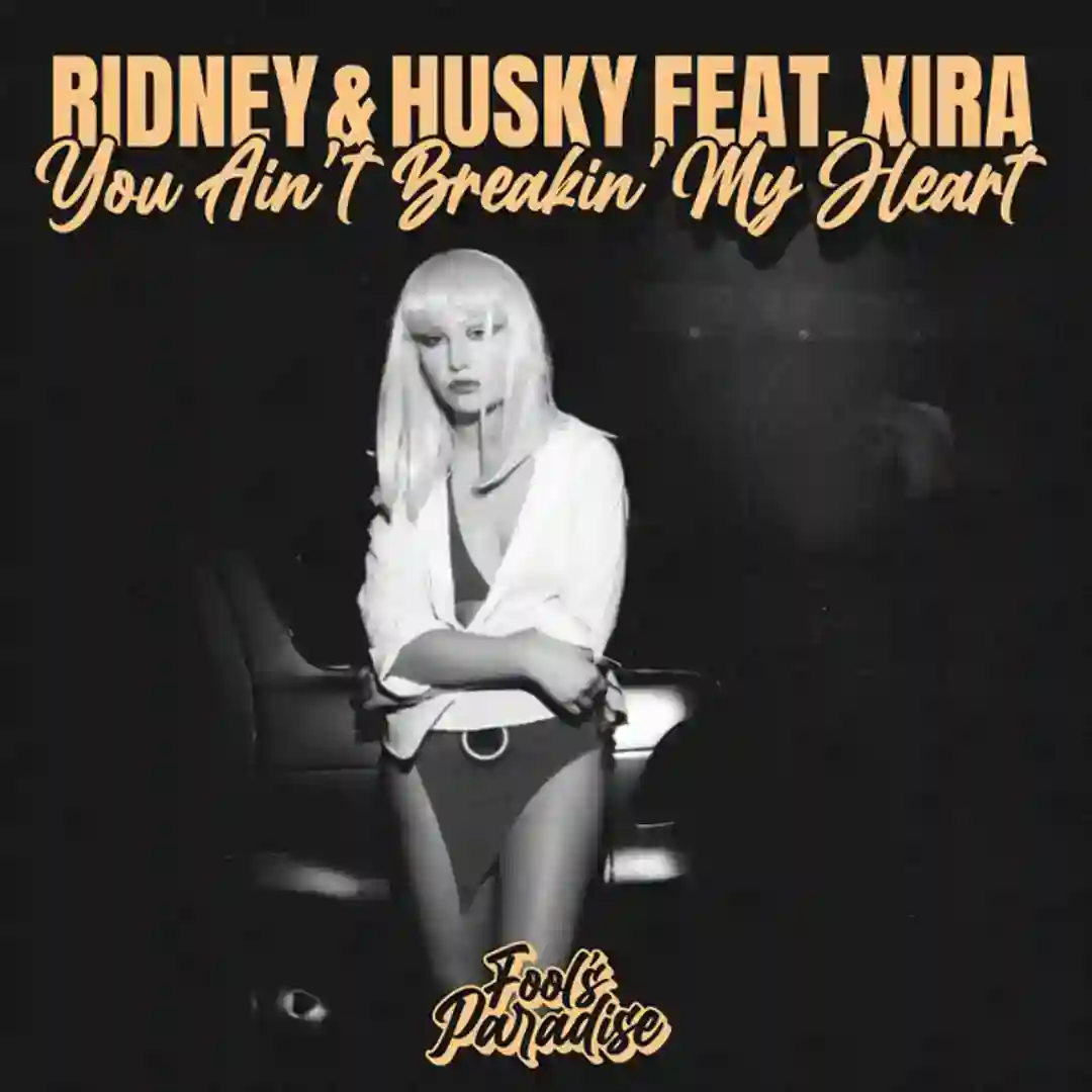 You Ain't Breakin' My Heart (Husky's VIP Extended Club Mix) cover