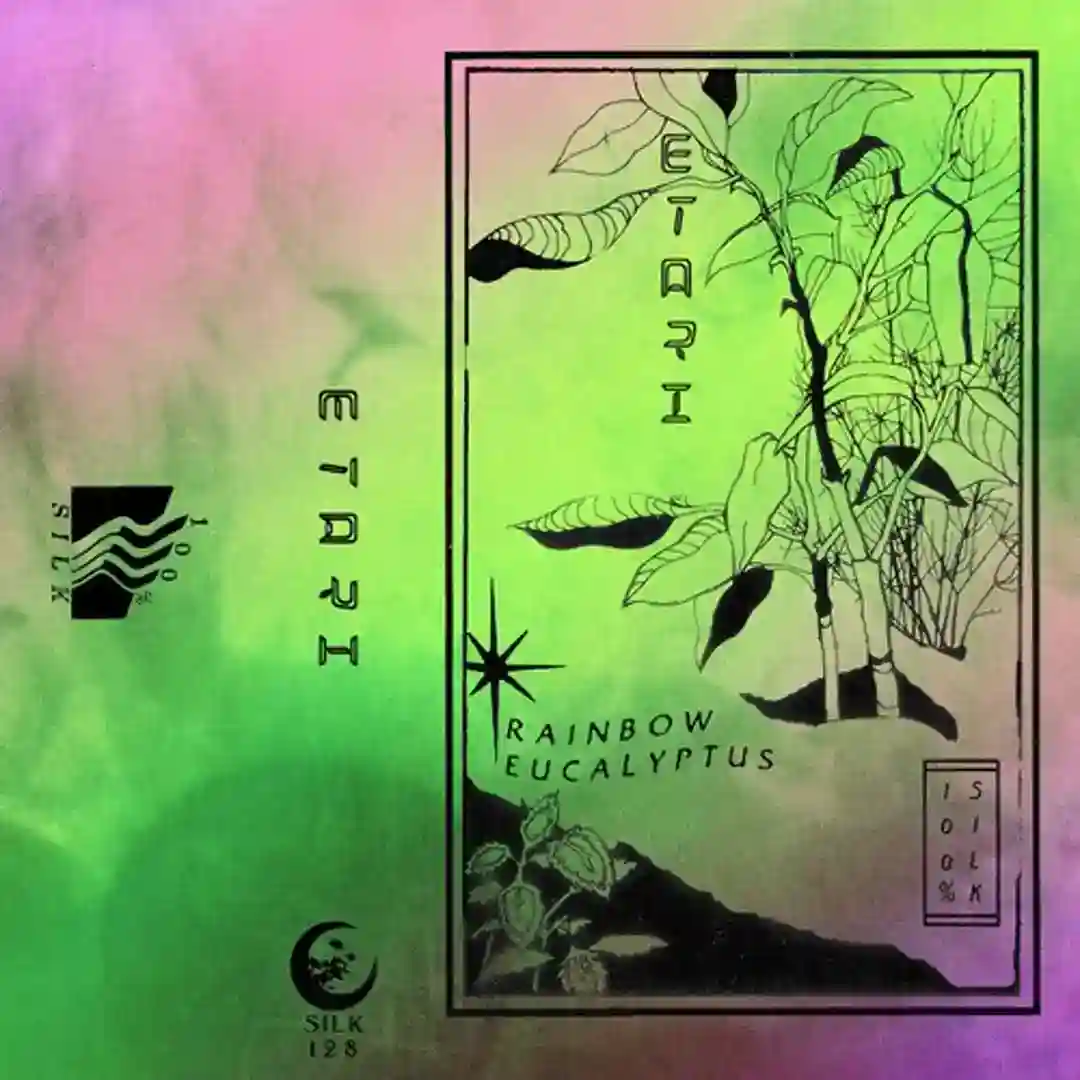 Euphoric Disclaimer cover