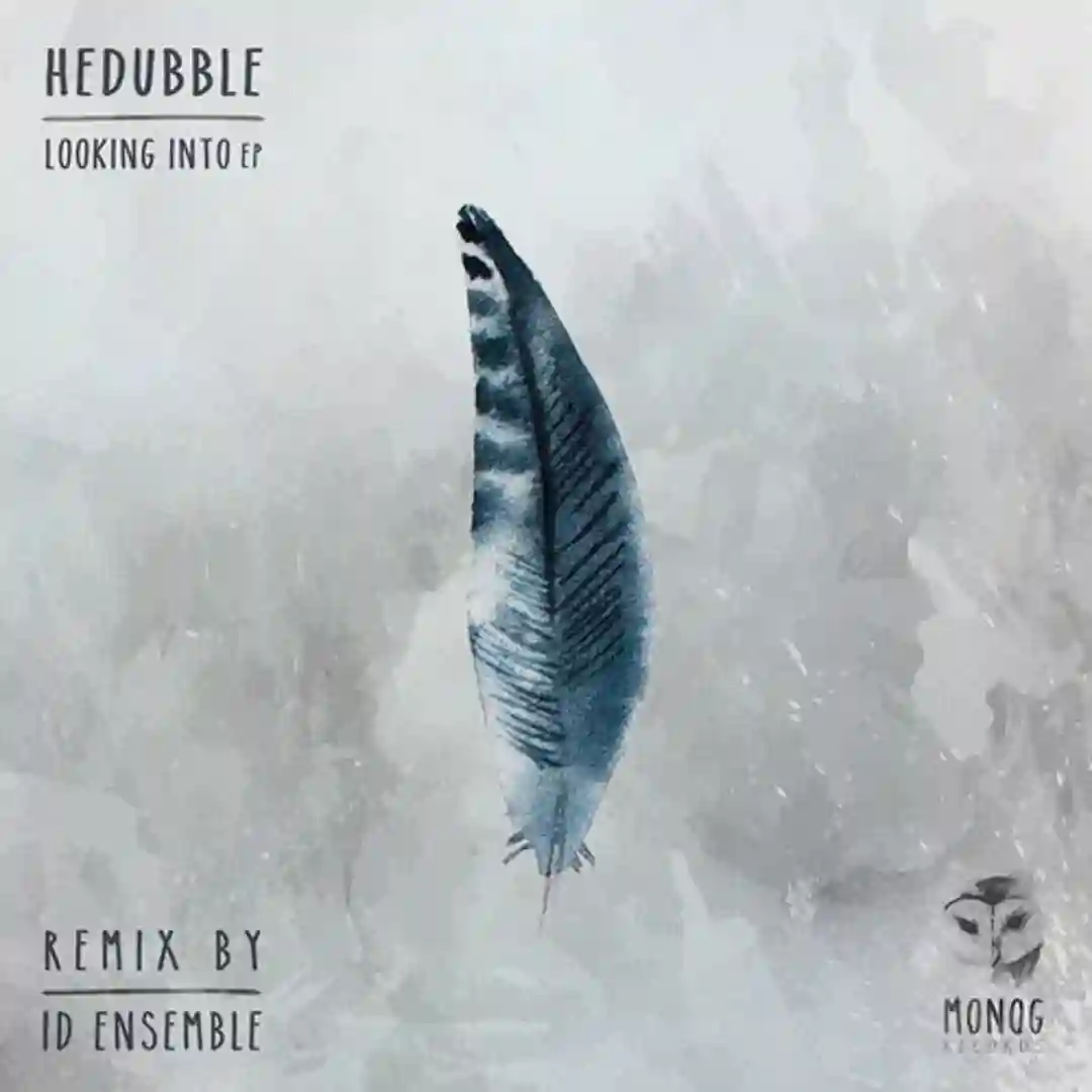 Looking Into (Id Ensemble Remix)-electrobuzz.net cover