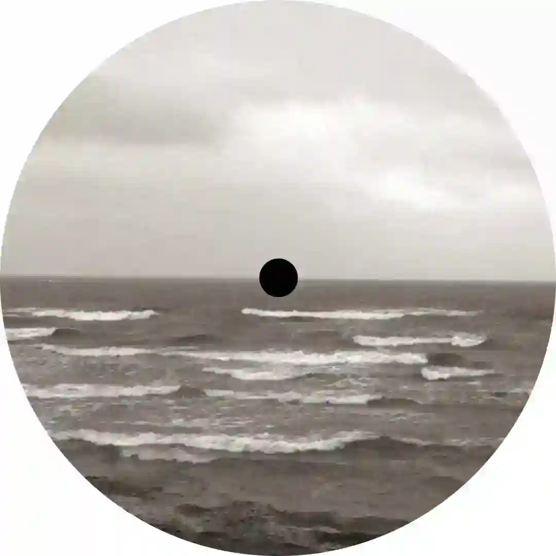 Transient Place cover