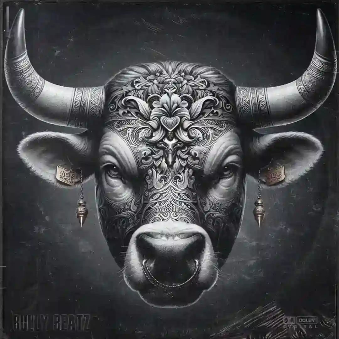 Bring you the night (Original Mix) cover